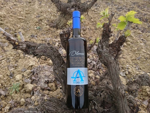 Vino Blanco Viejo, Oloroso Box 15l