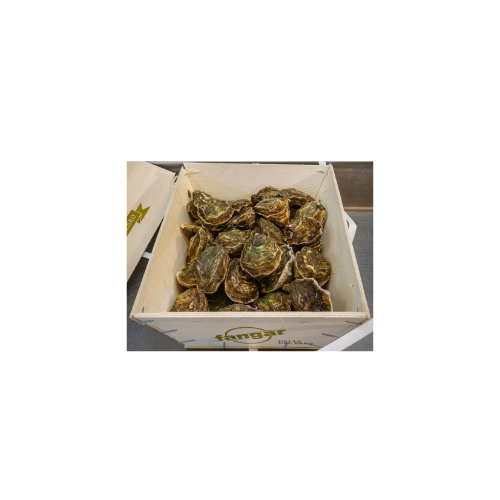 OSTRA RIZADA 10/12 POR KG DEL DELTA CAJA 36 UDS