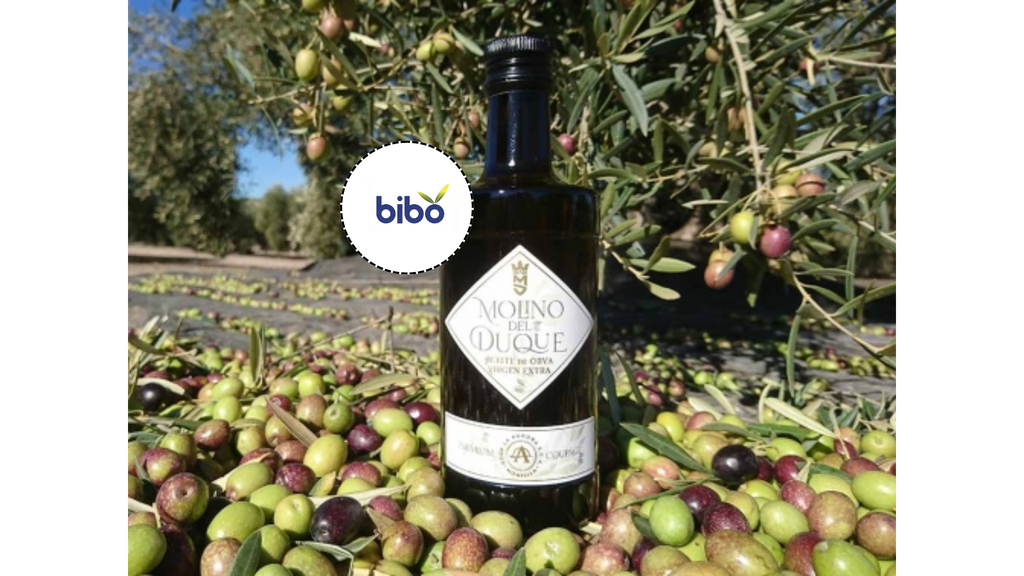 AOVE Virgen Extra Molino Del Duque Vidrio 500 ml