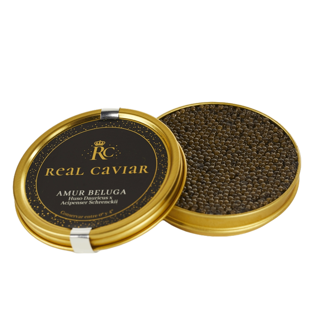 Caviar Amur Beluga