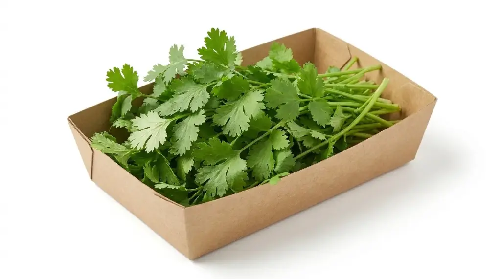 GIRM DE CILANTRO 70 GR