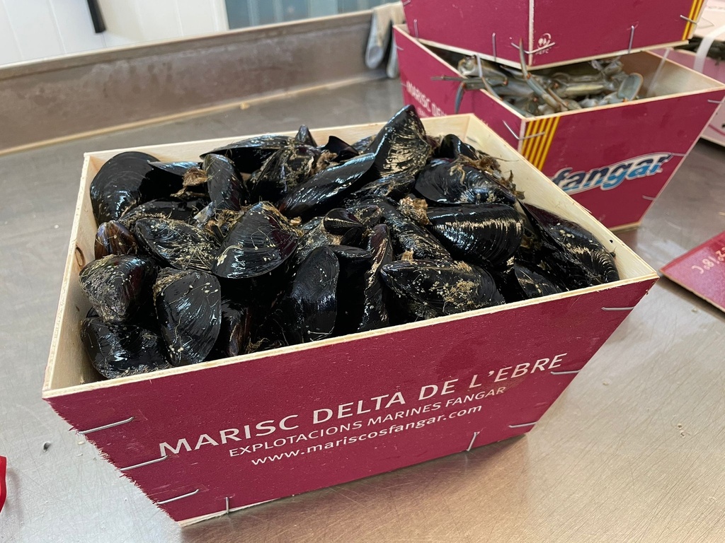 OSTRA RIZADA 10/12 POR KG DEL DELTA CAJA 24 UDS (copia)