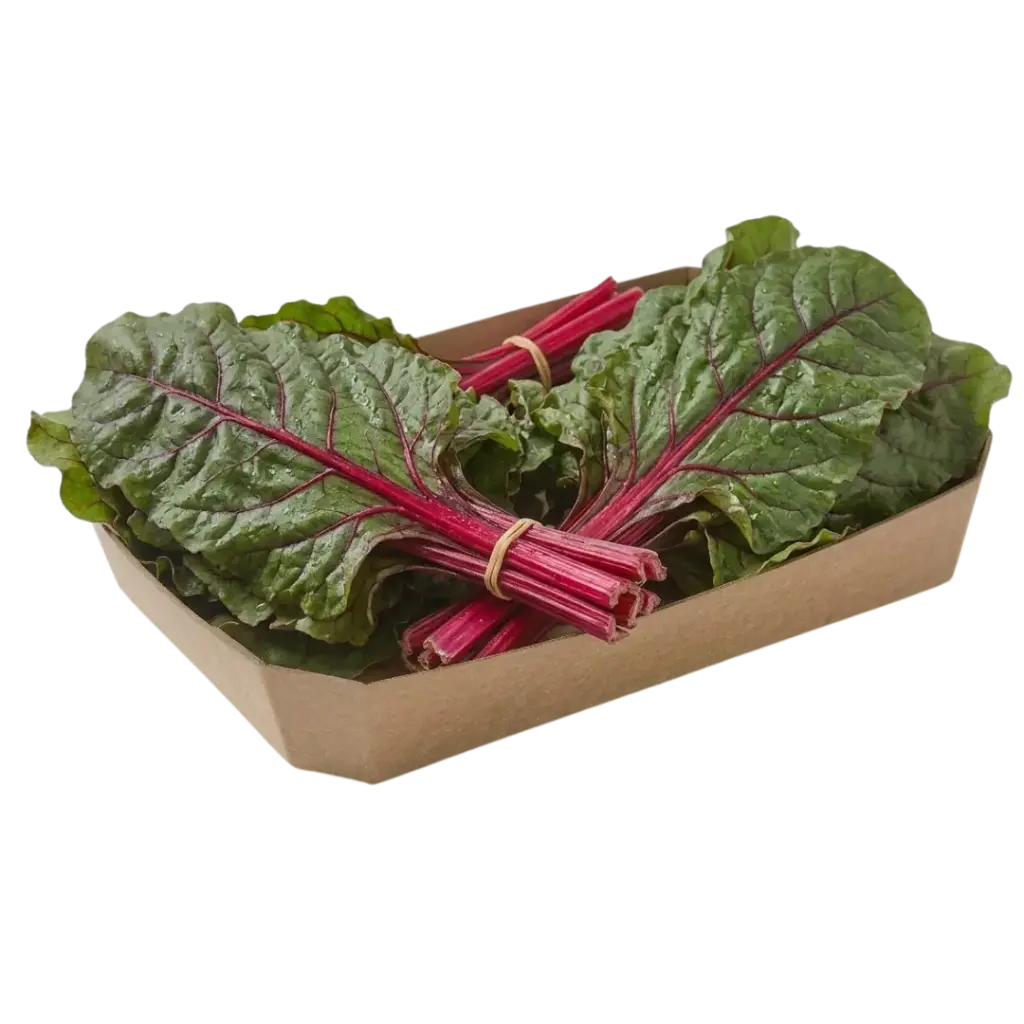 ACELGA ROJA