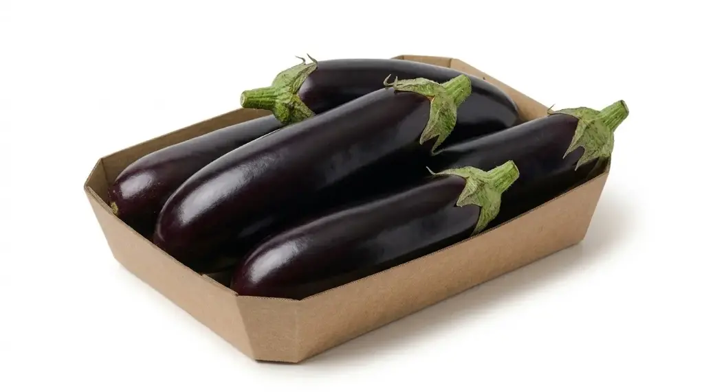 BERENJENA NEGRA