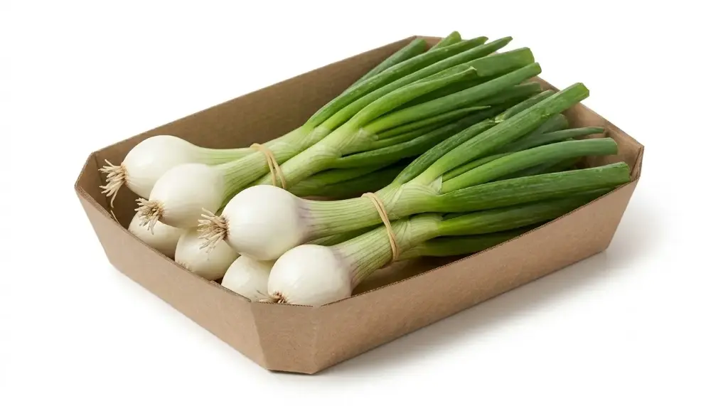 CEBOLLA TIERNA