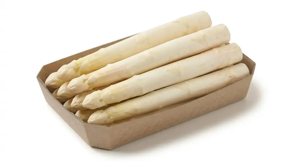 ESPARRAGO GORDO