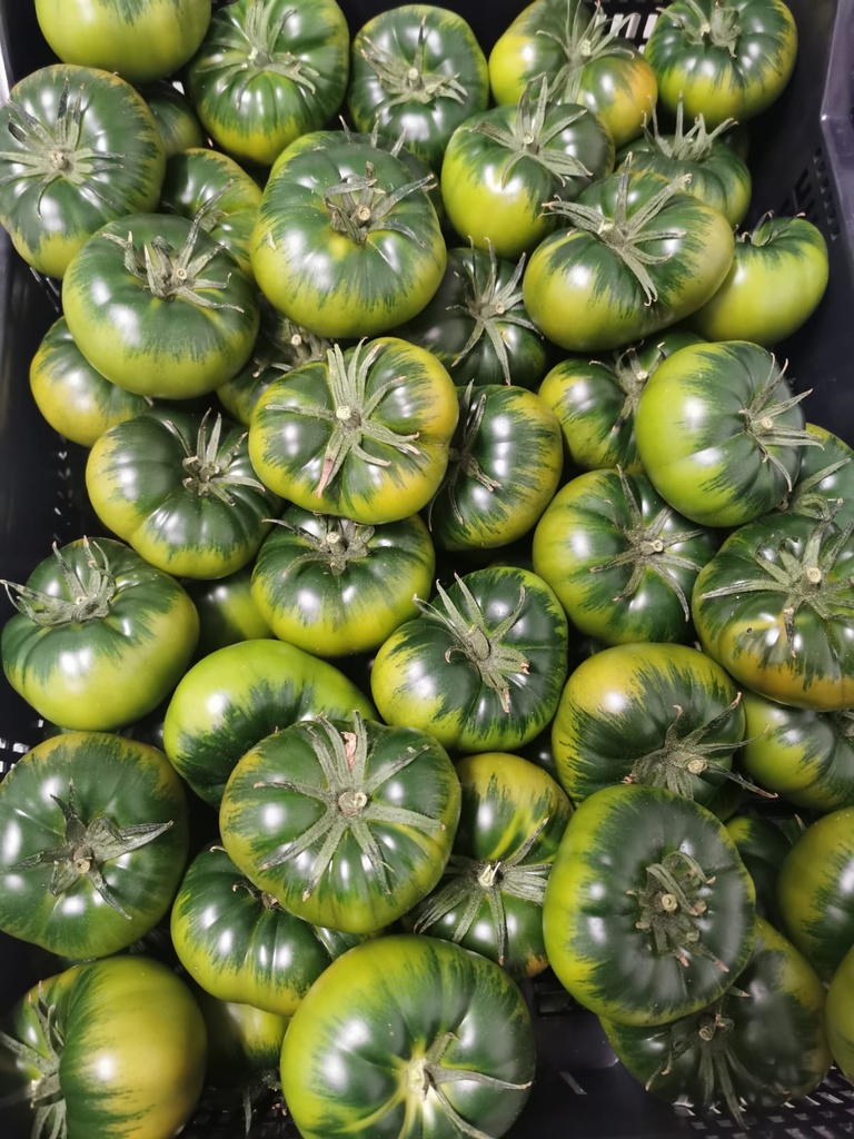 PIEDRA RAF Selección Maestra Almería Caja 3.5 Kg