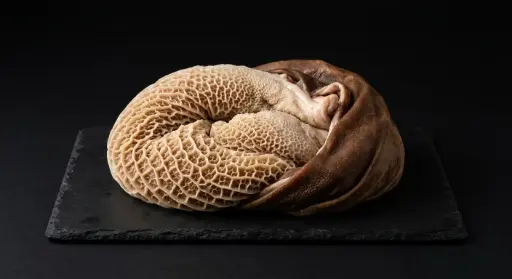 TRIPA MORENA (PIEZA)