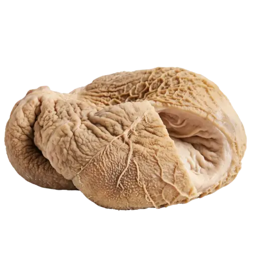 TRIPA MORENA (PIEZA)
