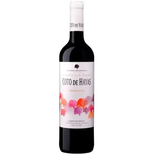 [CAMPO DE BORJA ARAGON / BODEGAS ARAGONESAS] Coto de Hayas Joven  