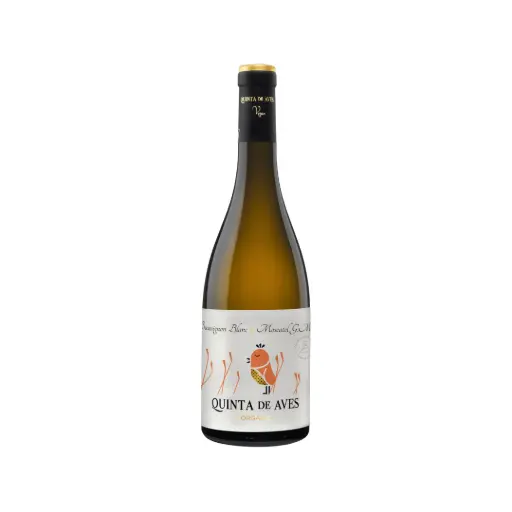 [CAMPO DE CALATRAVA / BODEGA QUINTA DE AVES ] Quinta de aves Savignon