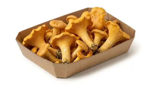 ROSIÑOLS xKG