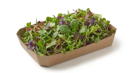 MICROMEZCLUM BROTES TARRINA 50 GR