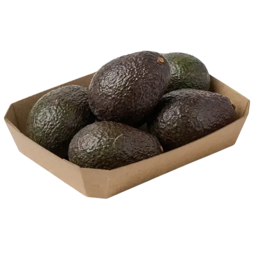 AGUACATE