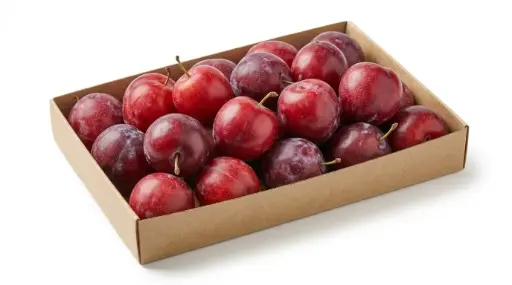 CIRUELA ROJA xKG