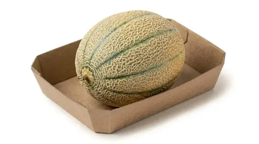 MELON CANTALOP xKG