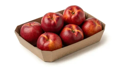 NECTARINA xKG