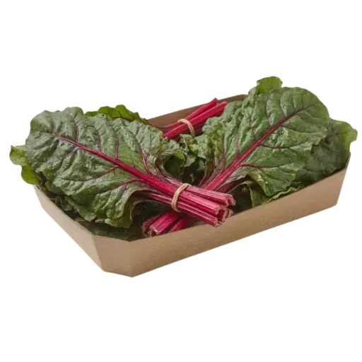 ACELGA ROJA