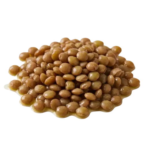 LENTEJAS CONSERVA